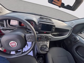 FIAT Panda 1.0 firefly hybrid Cross s&s 70cv 5p.ti