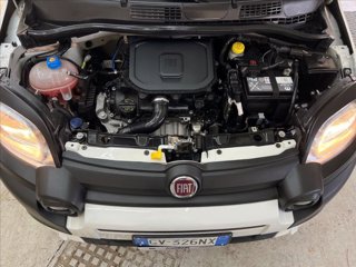 FIAT Panda 1.0 firefly hybrid Cross s&s 70cv 5p.ti