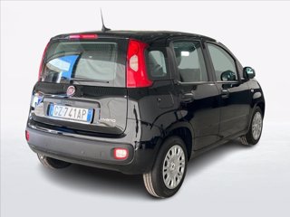 FIAT Panda 1.0 firefly hybrid s&s 70cv 5p.ti