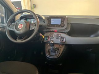 FIAT Panda 1.0 firefly hybrid s&s 70cv 5p.ti