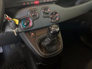 FIAT Panda 1.0 firefly hybrid s&s 70cv 5p.ti