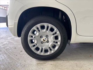FIAT Pandina 1.0 firefly hybrid s&s 70cv