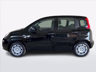 FIAT Panda 1.0 firefly hybrid s&s 70cv 5p.ti