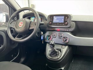 FIAT Panda 1.0 firefly hybrid s&s 70cv 5p.ti