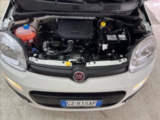 FIAT Panda 1.0 firefly hybrid s&s 70cv 5p.ti