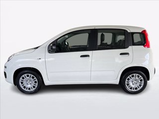 FIAT Panda 1.0 firefly hybrid s&s 70cv 5p.ti