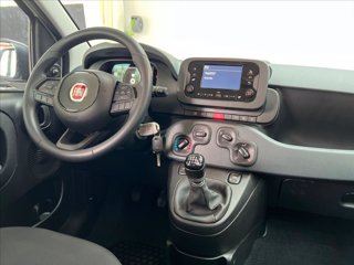 FIAT Panda 1.0 firefly hybrid s&s 70cv 5p.ti