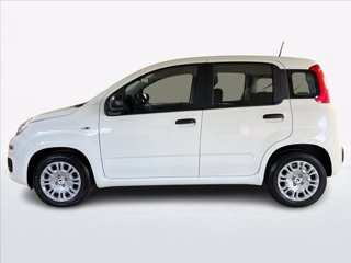 FIAT Pandina 1.0 firefly hybrid s&s 70cv