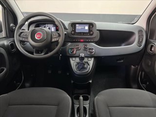 FIAT Pandina 1.0 firefly hybrid s&s 70cv
