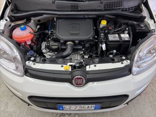 FIAT Pandina 1.0 firefly hybrid s&s 70cv