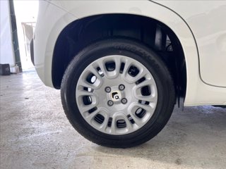 FIAT Pandina 1.0 firefly hybrid s&s 70cv